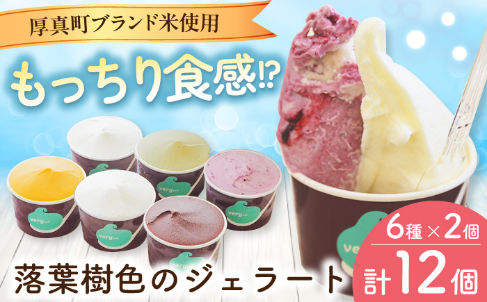very motch 米粉のジェラート 6種×2セット 12個 【株式会社クーバル】アイス セット アソート 米粉 詰め合わせ スイーツ ギフト 北海道 19000 19000円 [AXBQ007]