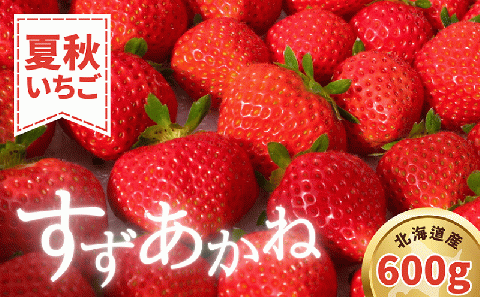 【先行予約 2026年7月以降順次発送】夏秋イチゴ「すずあかね」計600g 《厚真町》【こばやしいちご農園】 [AXBT003]
