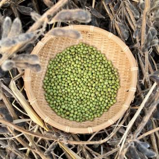 《農薬不使用》乾燥小粒青大豆（品種：黒神）《厚真町》【ekam】 大豆 豆 オーガニック 農薬不使用  有機JAS認証 青大豆 乾燥大豆 北海道 [AXBV001] 9000 9000円