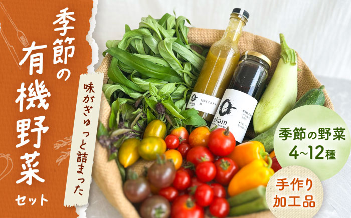 「季節の有機野菜セット」2～3人分 《厚真町》 【ekam】 [AXBV007]