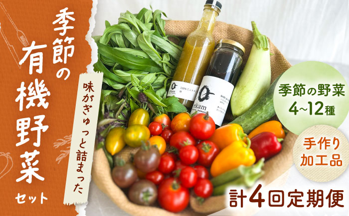 【年4回コース定期便】 「季節の有機野菜セット」2～3人分 《厚真町》 【ekam】 [AXBV009]