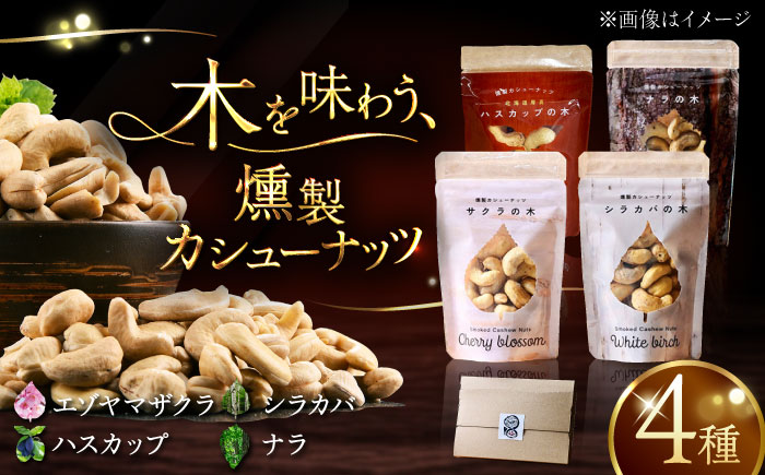 燻製カシューナッツ4種セット 各40g《厚真町》【燻製工房Thmey】 スモーク 無塩 おつまみ おやつ 食べ比べ プレゼント 手土産 北海道 [AXBX001]