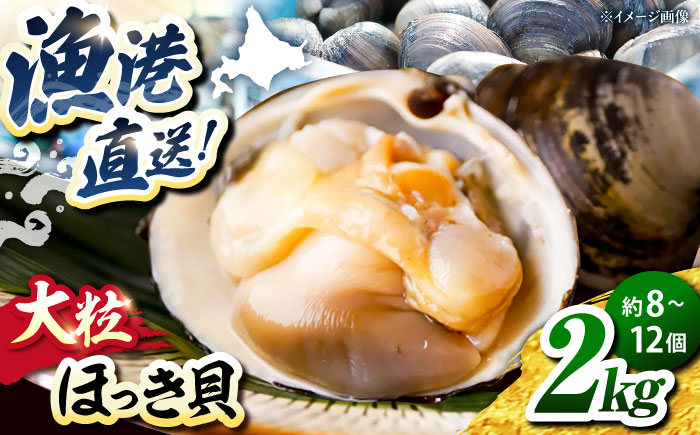 厚真町近海で獲れた 活ほっき貝 2kg（約8～12個）《厚真町》【鵡川漁業協同組合】ホッキ貝 北寄貝 海鮮 冷蔵配送 北海道 [AXAL005]