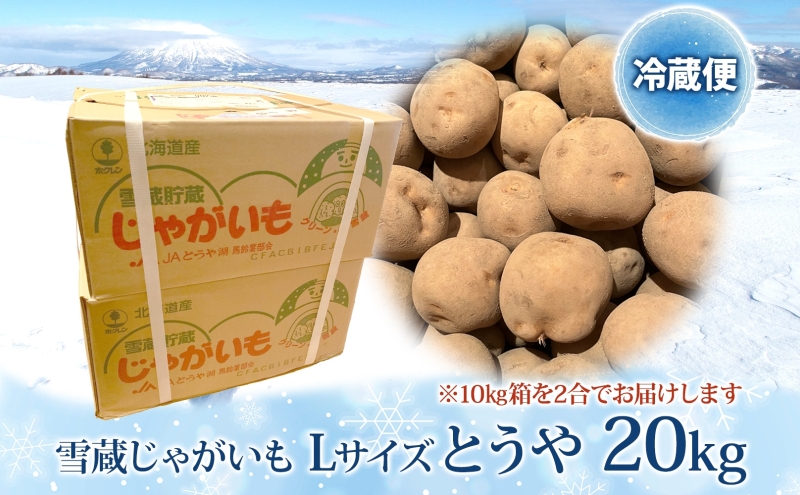 雪蔵じゃがいも 20kg とうやＬサイズ 2026年3月上旬～3月末までお届け ジャガイモ 芋 甘い なめらか しっとり ポタージュ カレー 調理 料理 煮込み料理 雪蔵 旬 季節 農作物 野菜 根菜 北海道 洞爺湖町