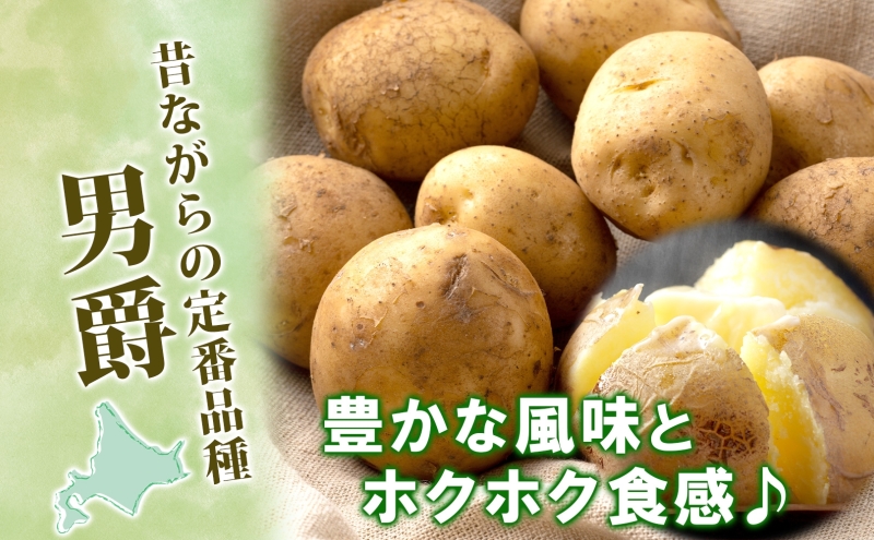 男爵 10kg 2025年9月上旬～12月中旬までお届け ダンシャク コロッケ ジャガイモ 芋 甘い ホクホク ポテト カレー 調理 料理 煮込み料理 旬 野菜 お取り寄せ 北海道 洞爺湖町