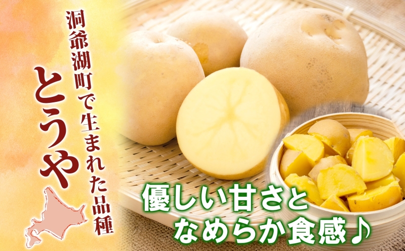 じゃがいも2種セット 計20kg とうや 男爵 2025年9月上旬～12月中旬までお届け ジャガイモ 芋 甘い ホクホク ポテト カレー 調理 料理 煮込み料理 旬 野菜 お取り寄せ 北海道 洞爺湖町