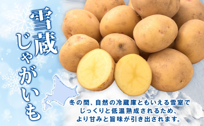 雪蔵じゃがいも 10kg とうやＬサイズ 2026年3月上旬～3月末までお届け ジャガイモ 芋 甘い なめらか しっとり ポタージュ カレー 調理 料理 煮込み料理 雪蔵 旬 季節 農作物 野菜 根菜 北海道 洞爺湖町