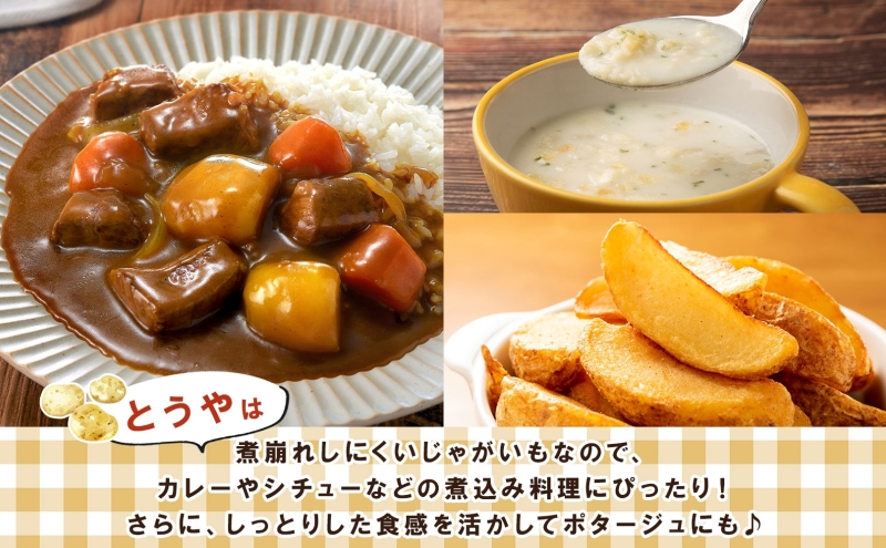 雪蔵じゃがいも 10kg とうやＬサイズ 2026年3月上旬～3月末までお届け ジャガイモ 芋 甘い なめらか しっとり ポタージュ カレー 調理 料理 煮込み料理 雪蔵 旬 季節 農作物 野菜 根菜 北海道 洞爺湖町