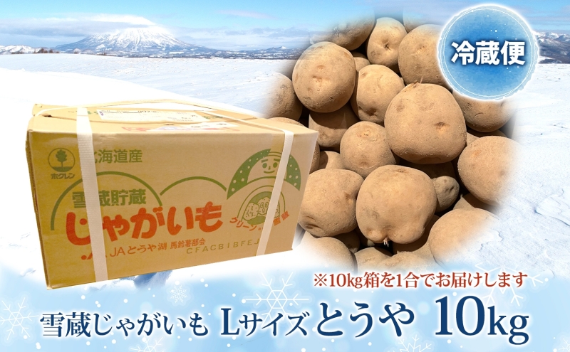 雪蔵じゃがいも 10kg とうやＬサイズ 2026年3月上旬～3月末までお届け ジャガイモ 芋 甘い なめらか しっとり ポタージュ カレー 調理 料理 煮込み料理 雪蔵 旬 季節 農作物 野菜 根菜 北海道 洞爺湖町