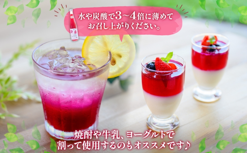 北海道 とうやの 赤しそ ジュース 希釈用 500ml×2本入り シソ しそ 大葉赤紫蘇 3～4倍 濃縮 契約農家 手詰み 産地直送 ピュアフーズとうや 送料無料