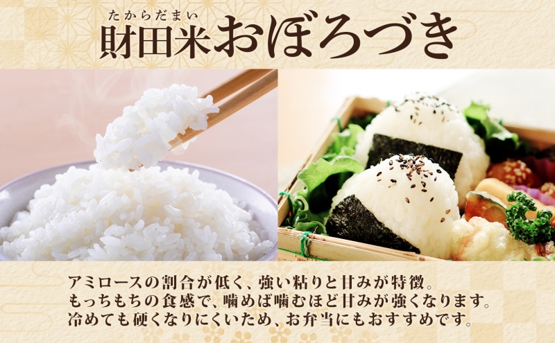 財田米 おぼろづき 5kg R7年産 新米 北海道産 白米 精米 お米 コメ こめ ライス おにぎり ご飯 国産 炊き立て 自炊 人気 お取り寄せ 産地直送 常温 送料無料 北海道 洞爺湖町