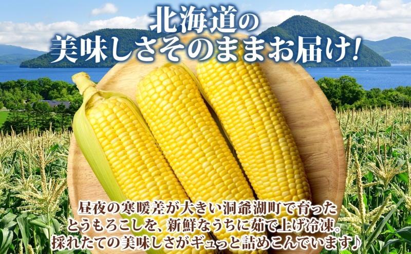 北海道産 冷凍カット野菜 とうもろこし 1/2分カット 11袋 とうきび コーン 野菜 冷凍食品 アレンジ 料理 付け合わせ おかず 惣菜 簡単 便利 一人暮らし 小分け BBQ キャンプ 弁当 送料無料 冷凍 北海道 洞爺湖町
