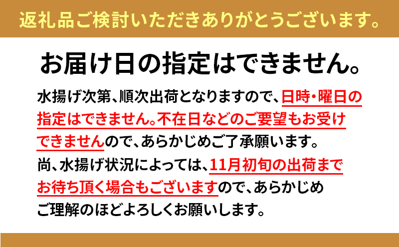 北海道 無添加塩水 ウニ 100g 2パック 6月中旬～8月末頃まで順次出荷 バフン ムラサキ うに 雲丹 海鮮 小川商店