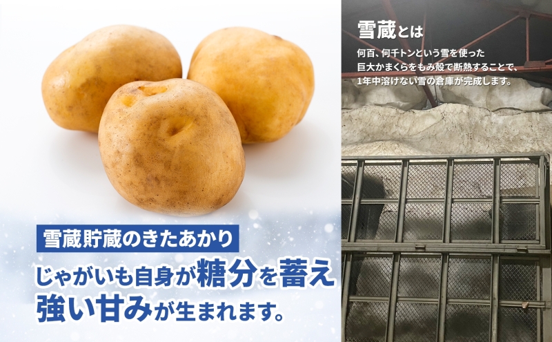 北海道 雪蔵 きたあかり  M～LM 約10kg 2026年2月中旬より順次お届け じゃがいも ジャガイモ 馬鈴薯 キタアカリ 北あかり 黄金男爵 芋 いも 雪蔵貯蔵 野菜 農作物 北海道産 丸田農園 送料無料