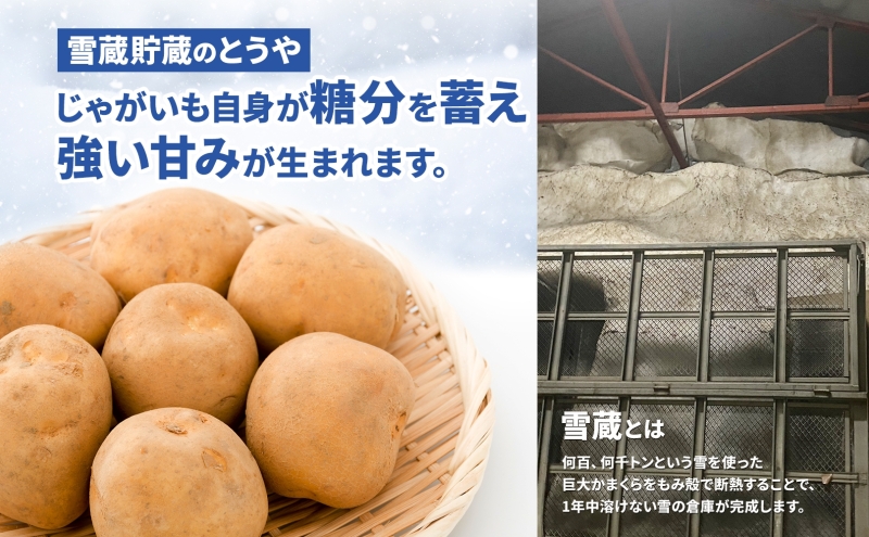 北海道 雪蔵 とうや  L～LM 約10kg 2026年2月中旬より順次お届け じゃがいも ジャガイモ じゃが芋 馬鈴薯 芋 いも イモ 旬 雪蔵貯蔵 野菜 農作物 カレー シチュー肉じゃが 北海道産 丸田農園 送料無料