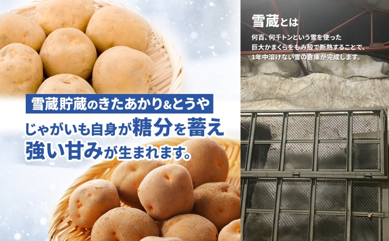北海道 雪蔵 きたあかり とうや 約10kg 2026年2月中旬より順次お届け じゃがいも ジャガイモ 馬鈴薯 キタアカリ 北あかり 芋 いも 雪蔵貯蔵 野菜 農作物 北海道産 丸田農園 送料無料