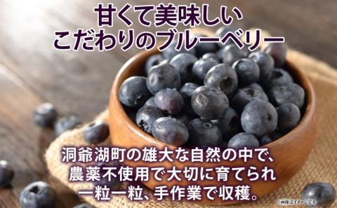 北海道 訳あり ブルーベリー 500g 2袋 計1kg 果物 果実 フルーツ 新鮮 国産 ベリー 農作物 お取り寄せ グルメ ギフト 冷凍 長期 保存 とうやMarche マルシェ