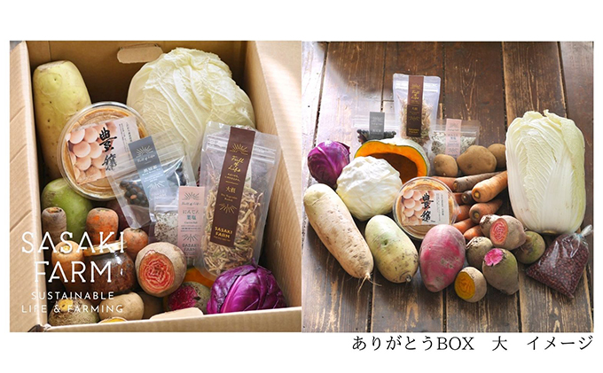 旬の野菜詰め合わせ ～ありがとうBOX2025・大～ 12月1日～1月31日頃お届け 北海道 野菜 やさい 詰め合わせ セット 北海道産 常備菜 加工品 自然栽培 佐々木ファーム 産地直送 洞爺湖町