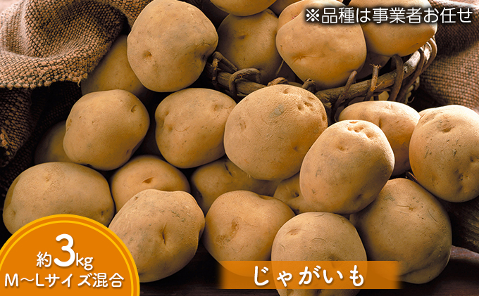 道の駅とうや湖 秋の味覚4種セット(新米ゆめぴりか・じゃがいも・玉ねぎ・かぼちゃ) 計約14kg≪令和5年産新米≫