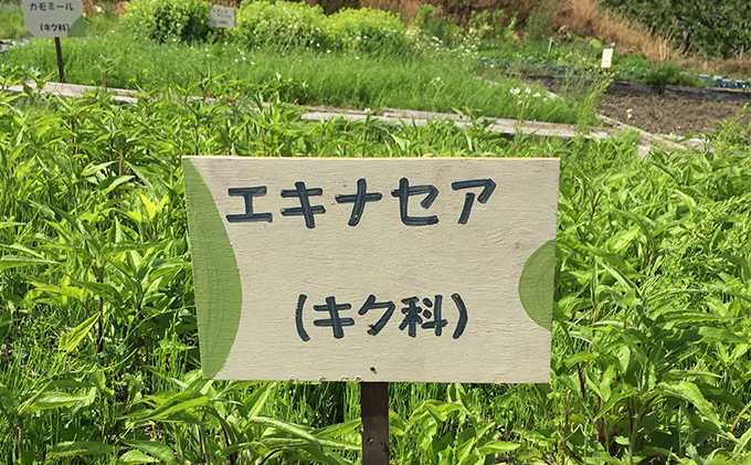 オリジナルハーブティーセット