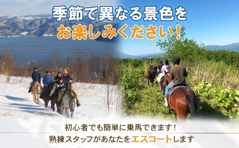 北海道 乗馬体験 40分コース ペア券 ホース トレッキング 絶景 自然 貴重 体験 経験 景色 ふれあい 血統馬 初心者 本格的 のんびり お子様 大人 楽しい レイクトーヤランチ 洞爺湖