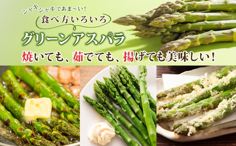 北海道 洞爺湖町産 グリーンアスパラ 約1kg L～2L混合 5月下旬頃お届け 2026 先行受付 路地 アスパラ アスパラガス 野菜 農作物 サラダ 天ぷら 新鮮 国産 人気 お取寄せ 産地直送 冷蔵 洞爺湖