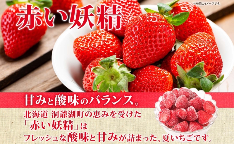 北海道産 冷凍果物2種 ブルーベリー 100g 3袋 いちご 100g 4袋 果物 果実 くだもの 赤い妖精 苺 冷凍食品 おやつ デザート スイーツ 簡単 便利 一人暮らし 小分け 製菓 冷凍 北海道 洞爺湖町
