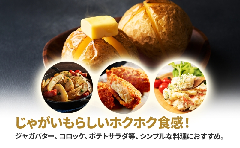 北海道 雪蔵 きたあかり  M～LM 約10kg 2026年2月中旬より順次お届け じゃがいも ジャガイモ 馬鈴薯 キタアカリ 北あかり 黄金男爵 芋 いも 雪蔵貯蔵 野菜 農作物 北海道産 丸田農園 送料無料