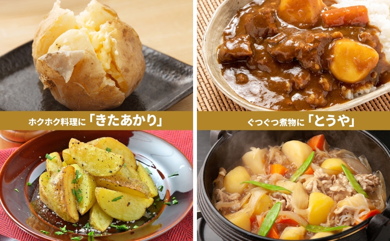 北海道 雪蔵 きたあかり とうや 約10kg 2026年2月中旬より順次お届け じゃがいも ジャガイモ 馬鈴薯 キタアカリ 北あかり 芋 いも 雪蔵貯蔵 野菜 農作物 北海道産 丸田農園 送料無料