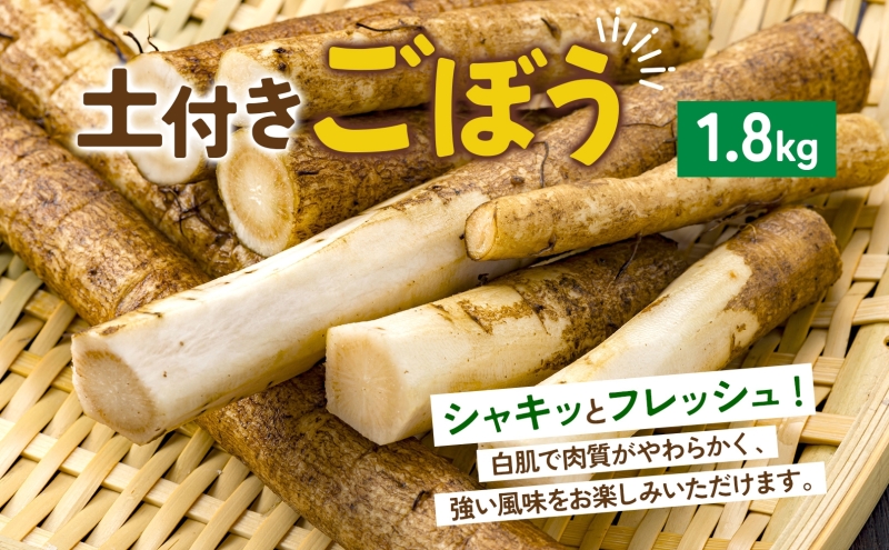 数量限定 根菜3種セット 計8.6kg 土付き 長芋 5kg 土付き ごぼう 1.8kg じゃがいも 1.8kg 11月下旬～12月下旬までのお届け 野菜 詰め合わせ 根菜 常温 青野農園 北海道 洞爺湖町
