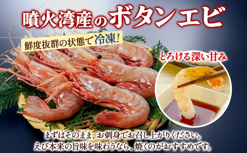 北海道 噴火湾産 冷凍ボタンエビ 小サイズ 計800g 70尾前後 ボタンエビ エビ えび 海老 北海道産 旬 ぼたんえび 刺身 牡丹海老 海鮮 魚介 甲殻類 味噌汁 鍋 海鮮丼 冷凍 洞爺湖町