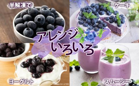 北海道 訳あり ブルーベリー 500g 2袋 計1kg 果物 果実 フルーツ 新鮮 国産 ベリー 農作物 お取り寄せ グルメ ギフト 冷凍 長期 保存 とうやMarche マルシェ