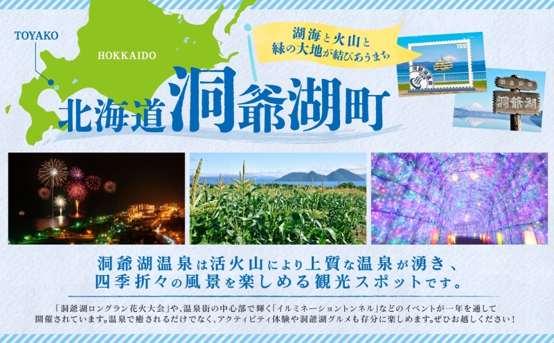 洞爺湖遊覧乗船券ペアチケット レジャー 春 夏 秋 冬 湖 人