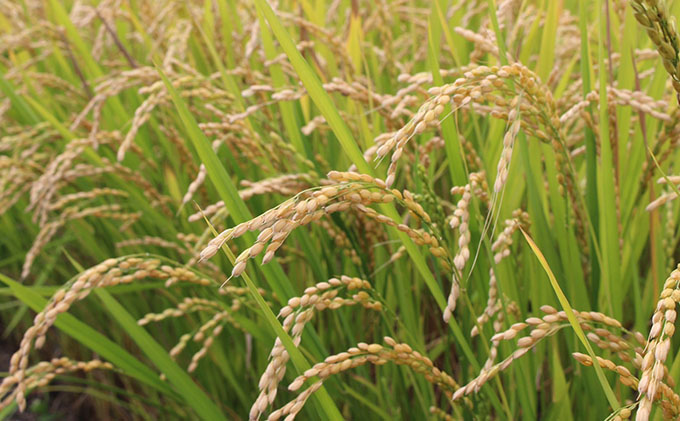 洞爺湖生まれのスキンケアセット 乳液 美容グッズ 保湿 乾燥ケア 肌荒れ防止 ローション 美容