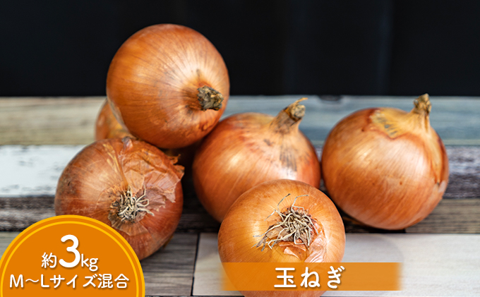 道の駅とうや湖 秋の味覚4種セット(新米ゆめぴりか・じゃがいも・玉ねぎ・かぼちゃ) 計約14kg≪令和5年産新米≫