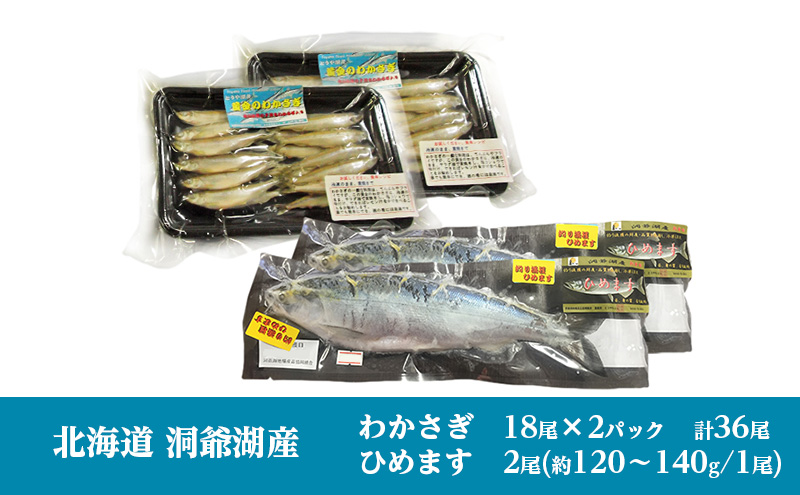 洞爺湖産わかさぎ(18尾入り×2P)・ひめます2尾(約120～140g/1尾)セット 北海道産 ワカサギ わかさぎ 川魚 魚介類 産地直送 冷凍 お取り寄せ グルメ 料理 天ぷら フライ とうやマルシェ 北海道 洞爺湖町