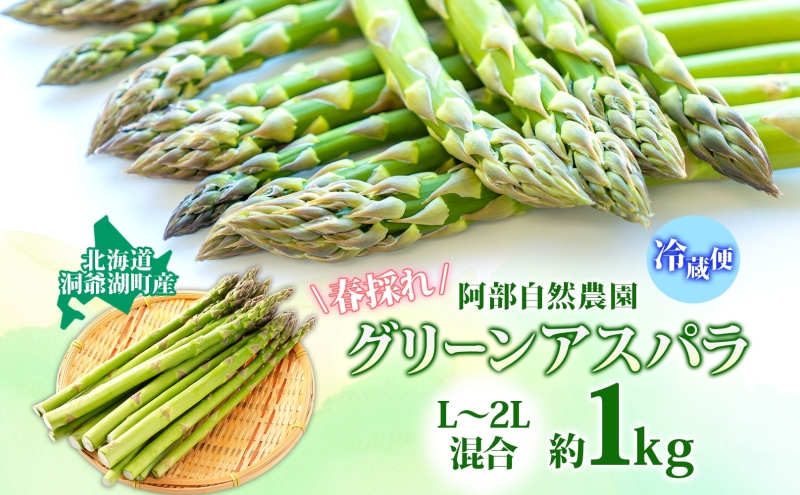 北海道 洞爺湖町産 グリーンアスパラ 約1kg L～2L混合 5月下旬頃お届け 2026 先行受付 路地 アスパラ アスパラガス 野菜 農作物 サラダ 天ぷら 新鮮 国産 人気 お取寄せ 産地直送 冷蔵 洞爺湖