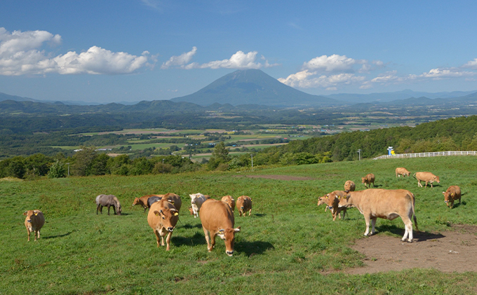 小分け 和牛 お肉 牛肉 バーベキュー おうち焼肉 BBQ ジューシー ヘルシー 赤身 コク 柔らかい 人気 産地直送 洞爺湖地場産品協同組合 送料無料 洞爺湖