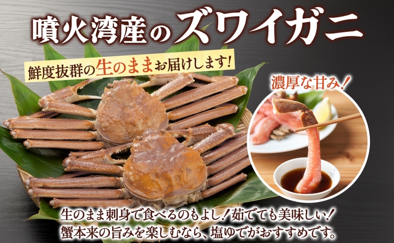 北海道 噴火湾産 活ズワイガニ 約1.5～2kg（3～6尾）2026年3月1日～4月末頃まで発送 北海道産 旬 新鮮 ずわいがに ズワイガニ かに カニ 蟹 カニ味噌 天然 噴火湾 産地直送 お取り寄せ 贈答 冷蔵 洞爺湖町