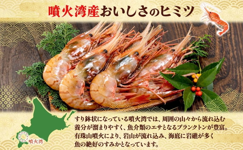 北海道 噴火湾産 冷凍ボタンエビ 小サイズ 計800g 70尾前後 ボタンエビ エビ えび 海老 北海道産 旬 ぼたんえび 刺身 牡丹海老 海鮮 魚介 甲殻類 味噌汁 鍋 海鮮丼 冷凍 洞爺湖町