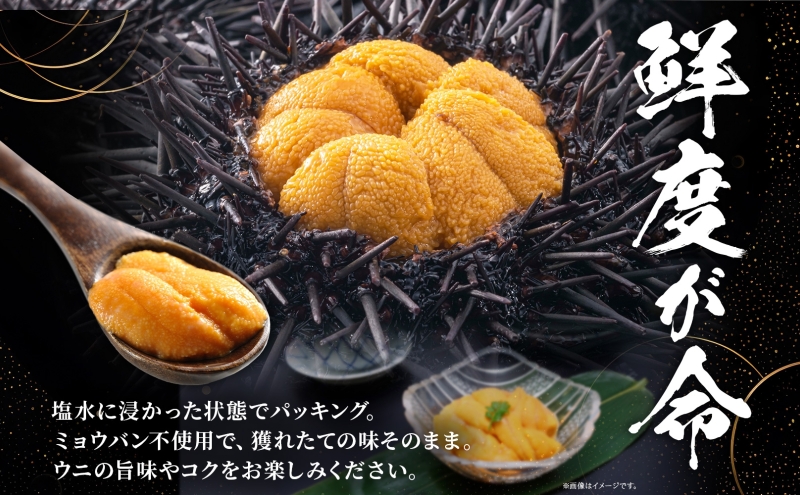 北海道 塩水 ウニ 100g 3パック 1月下旬頃～3月中旬頃まで順次出荷 バフン ムラサキ うに 雲丹 海鮮 ミョウバン不使用 小川商店