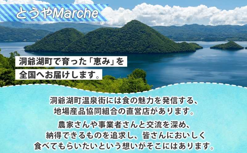 【訳あり】洞爺湖町産・冷凍ブロッコリー1kg 野菜 冷凍 冷凍野菜 カット野菜 簡単調理