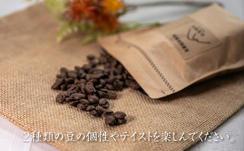 自家焙煎珈琲豆 2種レギュラーコーヒー飲み比べ（各100g×3袋）計600g 飲み物 飲料 良品な生豆 店内焙煎 新鮮 豊かな香り 2種類 個性 テイスト お楽しみ