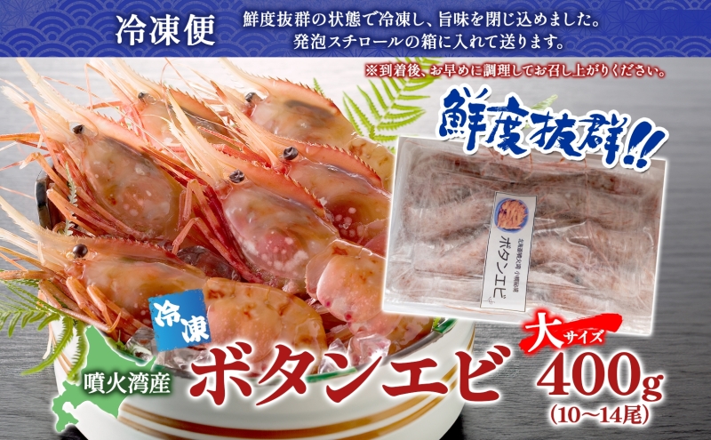 北海道 噴火湾産 冷凍ボタンエビ 大サイズ 400g 10～14尾 ボタンエビ エビ えび 海老 北海道産 旬 ぼたんえび 刺身 牡丹海老 海鮮 魚介 甲殻類 味噌汁 鍋 海鮮丼 冷凍 洞爺湖町