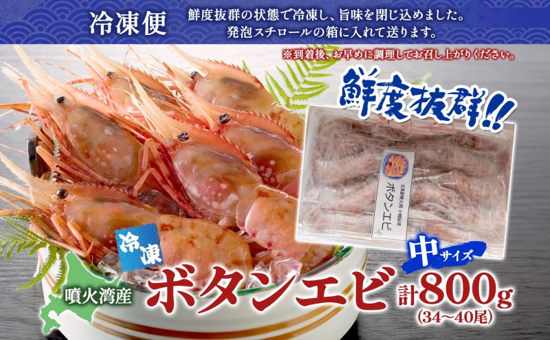 北海道 噴火湾産 冷凍ボタンエビ 中サイズ 計800g 34～40尾 ボタンエビ エビ えび 海老 北海道産 旬 ぼたんえび 刺身 牡丹海老 海鮮 魚介 甲殻類 味噌汁 鍋 海鮮丼 冷凍 洞爺湖町