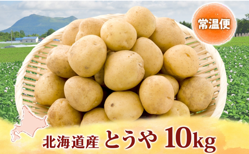 じゃがいも とうや 10kg 2025年9月上旬～12月中旬までお届け ジャガイモ 芋 甘い ホクホク なめらか ポテト カレー 調理 料理 煮込み料理 旬 野菜 お取り寄せ 北海道 洞爺湖町