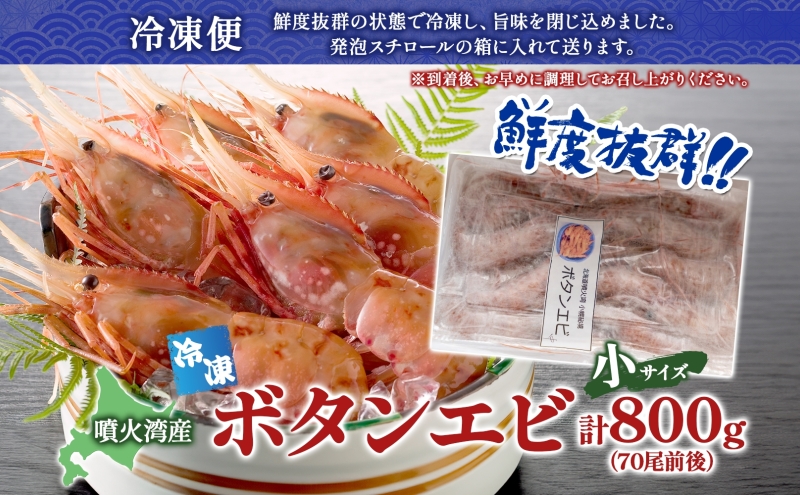 北海道 噴火湾産 冷凍ボタンエビ 小サイズ 計800g 70尾前後 ボタンエビ エビ えび 海老 北海道産 旬 ぼたんえび 刺身 牡丹海老 海鮮 魚介 甲殻類 味噌汁 鍋 海鮮丼 冷凍 洞爺湖町