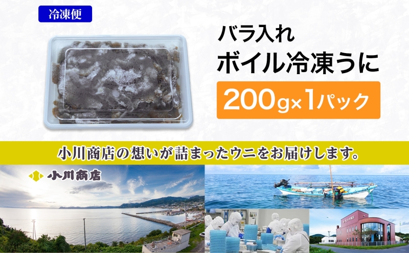 北海道 ボイル冷凍うに 約200g×1パック うに ウニ ボイル 海鮮 魚介 雲丹 海産 甘み 北海道産 鮨 寿司 パスタ 茶碗蒸し 冷凍 送料無料 小川商店 洞爺湖町