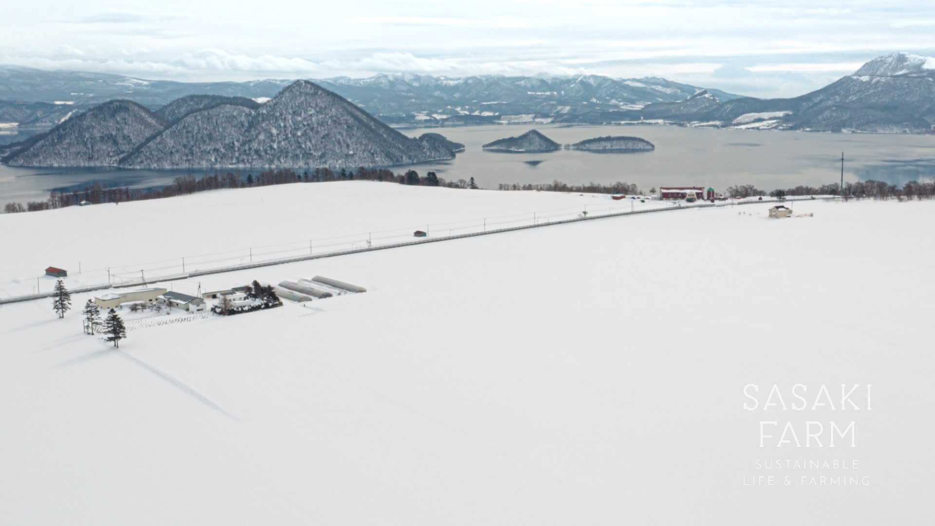 旬の野菜詰め合わせ ～ありがとうBOX2025・大～ 12月1日～1月31日頃お届け 北海道 野菜 やさい 詰め合わせ セット 北海道産 常備菜 加工品 自然栽培 佐々木ファーム 産地直送 洞爺湖町