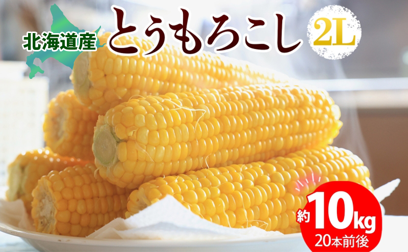 北海道産 とうもろこし 2L 約10kg 20本前後 2025年8月下旬～9月上旬頃お届け とうきび 新鮮 旬 トウモロコシ スイートコーン 産地直送 送料無料 北海道 洞爺湖町